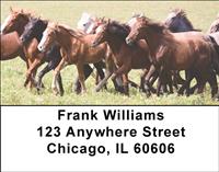 Stable Friends Address Labels