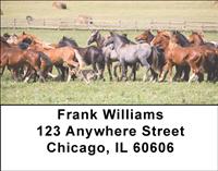 Stable Friends Address Labels