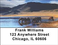 Artistic Sunset Horses Address Labels