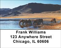 Artistic Sunset Horses Address Labels