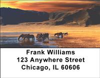 Artistic Sunset Horses Address Labels