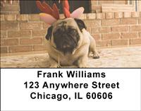 Precious Pugs Address Labels
