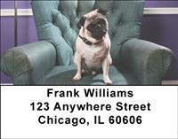 Precious Pugs Address Labels