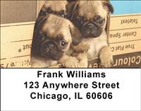 Pug Pals Address Labels
