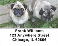 Pug Pals Address Labels