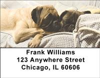 Pug Pals Address Labels