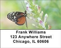 Monarchs Address Labels