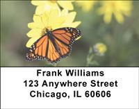 Monarchs Address Labels