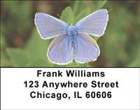 Tiny Butterflies Address Labels