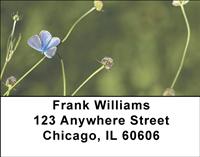 Tiny Butterflies Address Labels