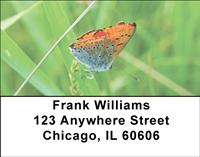 Tiny Butterflies Address Labels