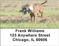 Hunting Dogs Address Labels