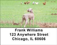 Hunting Dogs Address Labels