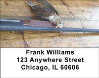 Hunting Rifles Address Labels