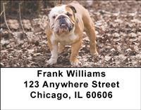 Proud Bulldogs Address Labels