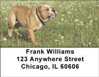 Proud Bulldogs Address Labels