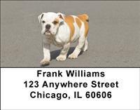 Proud Bulldogs Address Labels