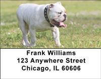 Proud Bulldogs Address Labels