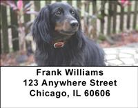 Dark Dachshunds Address Labels