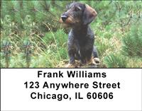 Dark Dachshunds Address Labels
