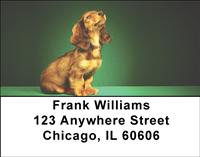 Adorable Dachshunds Address Labels