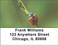 Lonely Ladybugs Address Labels
