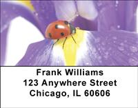 Petal Ladybugs Address Labels