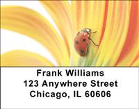 Petal Ladybugs Address Labels