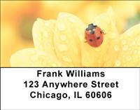 Petal Ladybugs Address Labels