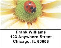 Petal Ladybugs Address Labels