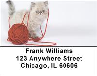 Persian Kittens Address Labels