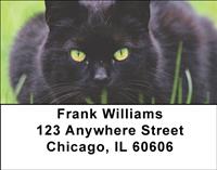 Black Cats Address Labels
