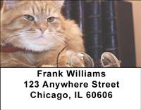 Ginger Cats Address Labels