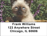 Kitty Basket Address Labels
