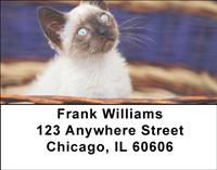 Kitty Basket Address Labels