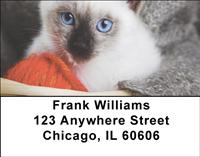 Kitty Basket Address Labels