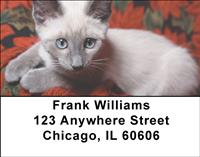 Siamese Kittens Address Labels