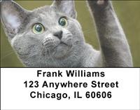 Russian Blue Cats Address Labels