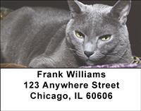 Russian Blue Cats Address Labels