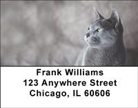 Russian Blue Cats Address Labels