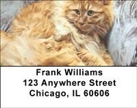 Bobtail Cats Address Labels
