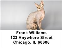 Sphynx Cats Address Labels
