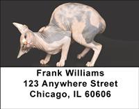 Sphynx Cats Address Labels