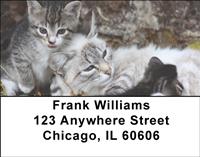 Momma Cats Address Labels