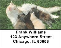 Momma Cats Address Labels