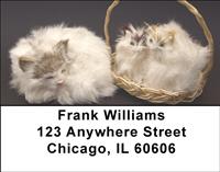 Momma Cats Address Labels