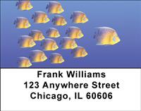 Follow The Leader Address Labels