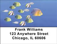 Follow The Leader Address Labels