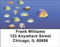 Follow The Leader Address Labels