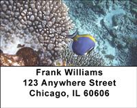 Surgeonfish Address Labels